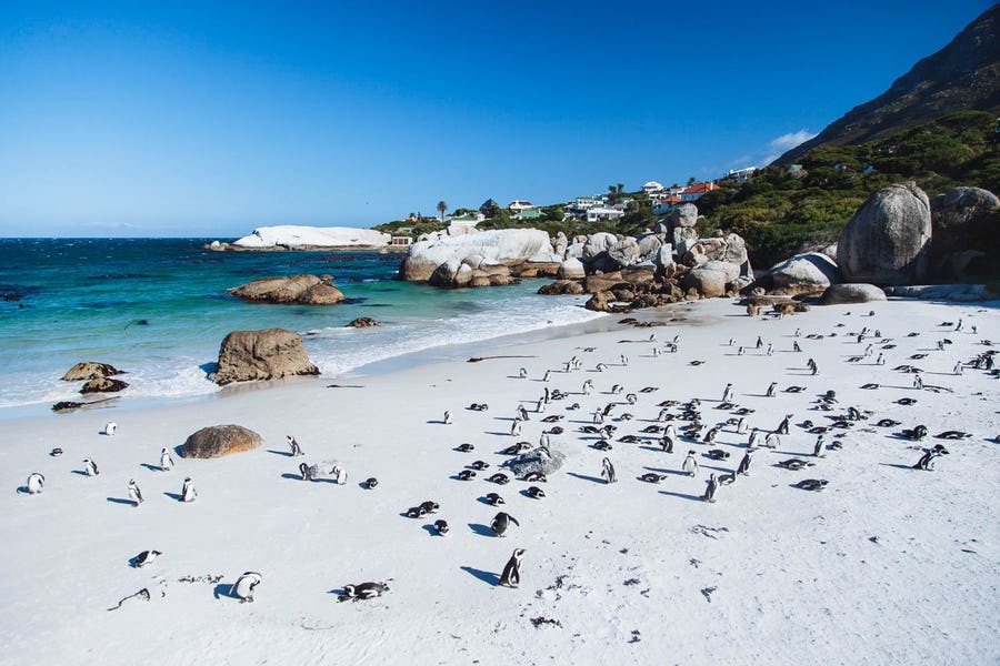 The Ideal Time to Go to South Africa