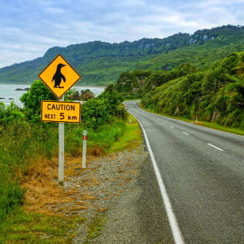 Essential road rules and signs you need to know